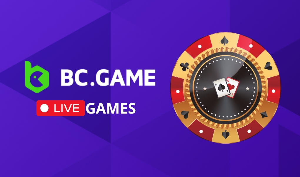 Explore the Exciting Official BC India Website Game